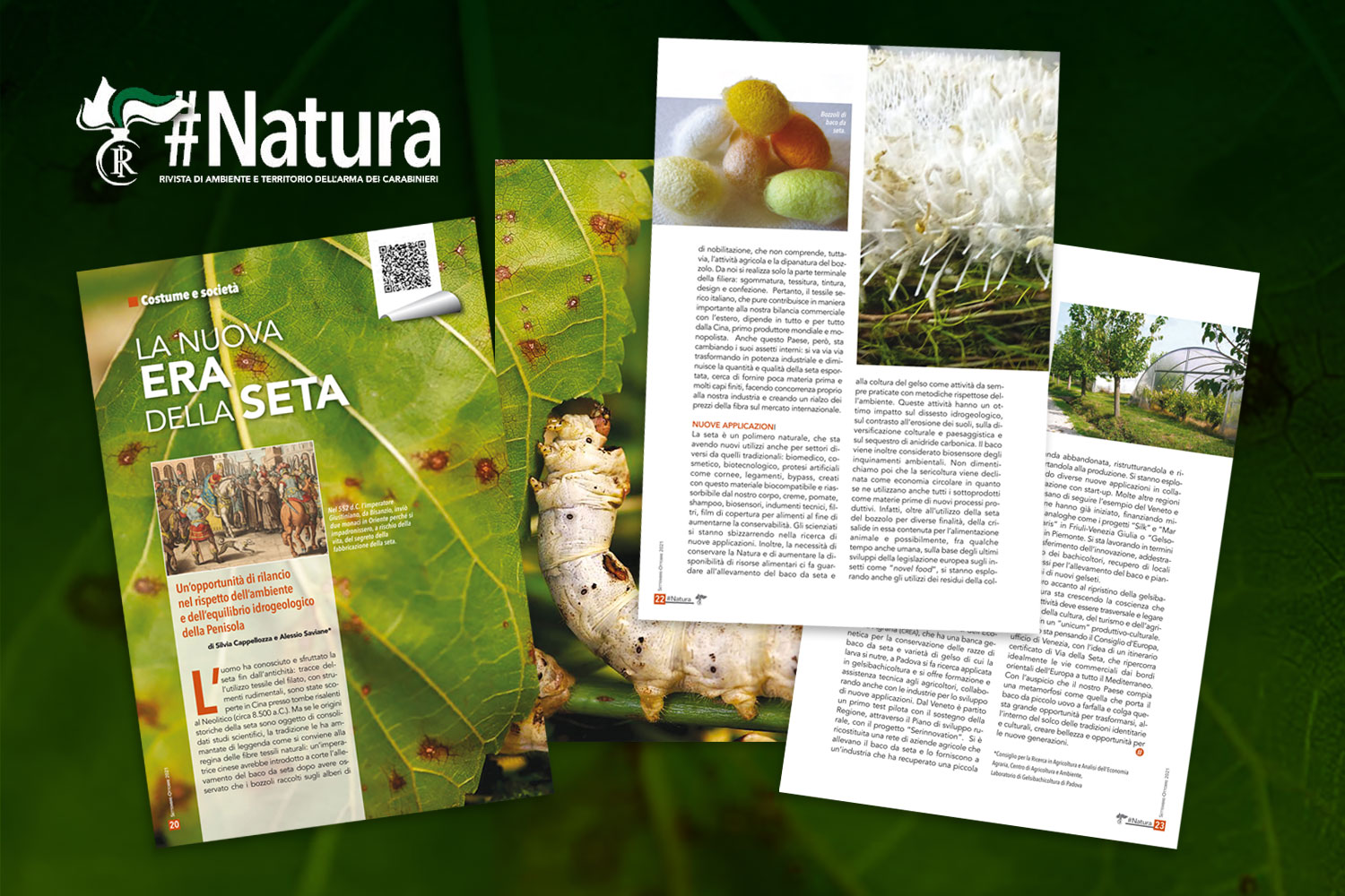 “La nuova era della Seta” su #Natura, la rivista dell’Arma dei Carabinieri