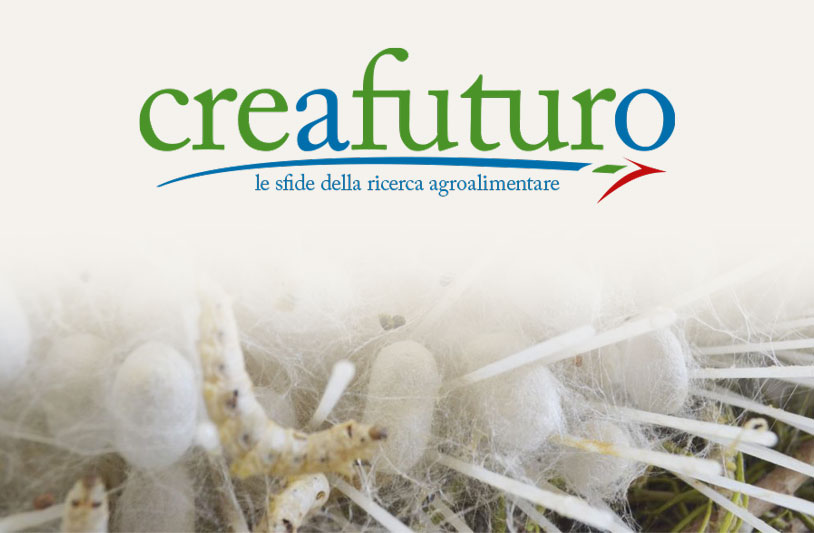 La via della seta: rilanciare una “seri-cultura” sostenibile in Italia
