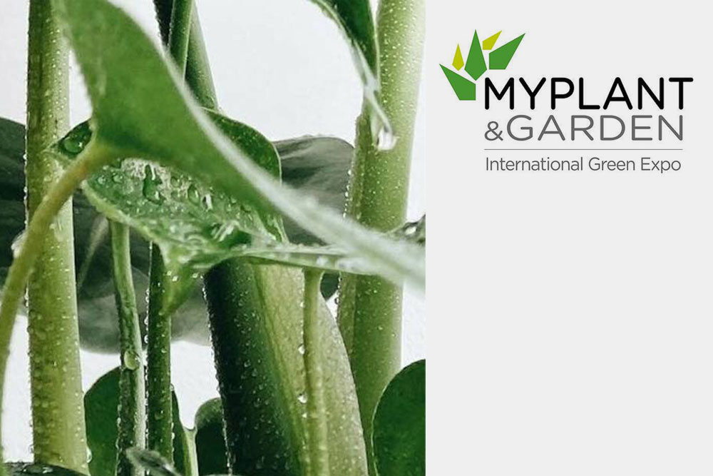 Il CREA al convegno inaugurale di Myplant & Garden 2023